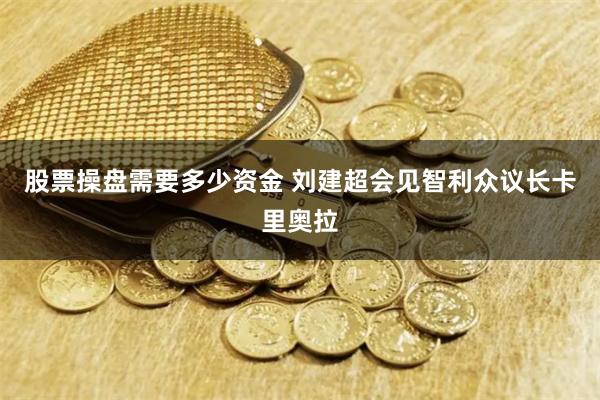 股票操盘需要多少资金 刘建超会见智利众议长卡里奥拉