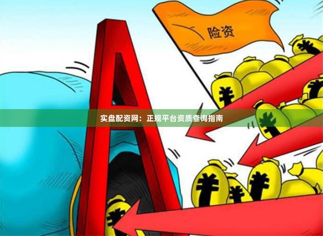 实盘配资网：正规平台资质查询指南